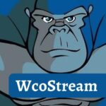 WcoStream – The Best Place to Watch Anime Videos Online